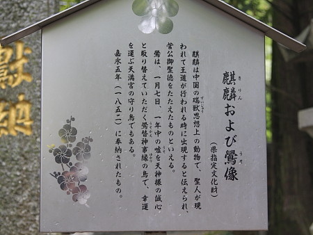 14IMG_5479