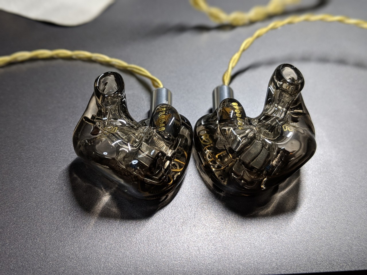 Elysian acoustic Lab terminator レビュー【オリジナル カスタムIEM