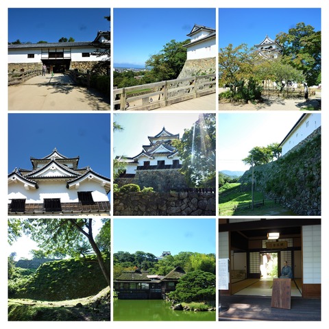 P1040258-COLLAGE