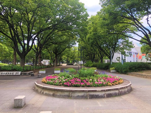 Welcome Beautiful Japan Shirakawa Park 2019062411