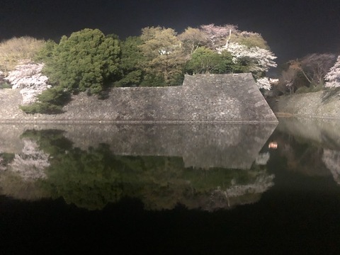 Welcome Beautiful Japan Nagoya Castle