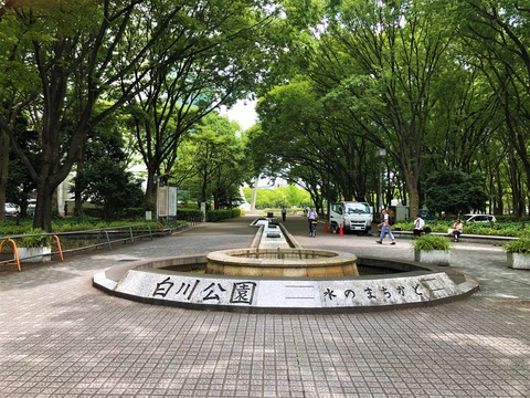 Welcome Beautiful Japan Shirakawa Park 2019062416