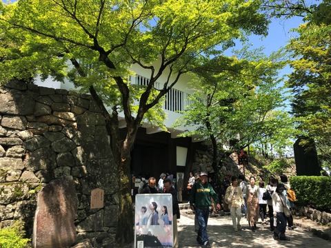 Welcome_Beautiful_Japan_Inuyama_Castle_2019050218