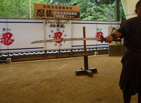 Welcome Beautiful Japan Ninja Show 2014080404
