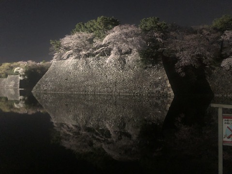 Welcome Beautiful Japan Nagoya Castle