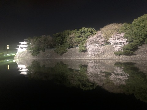 Welcome Beautiful Japan Nagoya Castle