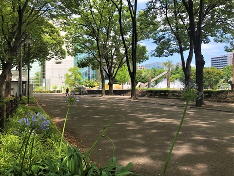Welcome Beautiful Japan Shirakawa Park 2019062415