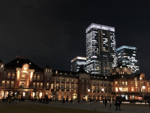 Welcome Beautiful Japan Tokyo station 20190222