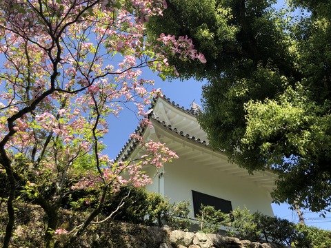 Welcome_Beautiful_Japan_Inuyama_Castle_2019050202