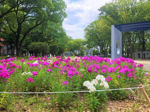 Welcome Beautiful Japan Shirakawa Park 2019062407