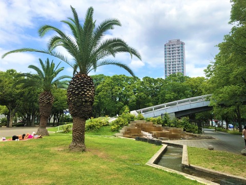 Welcome Beautiful Japan Shirakawa Park 2019062412