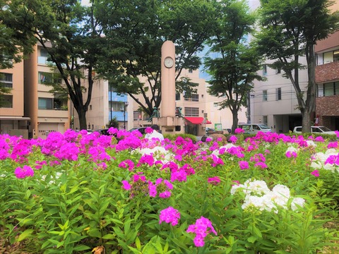 Welcome Beautiful Japan Shirakawa Park 2019062406