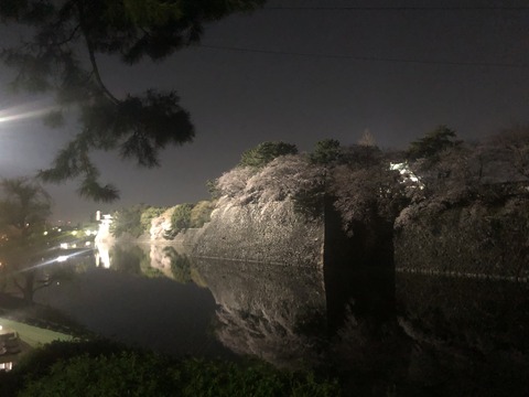 Welcome Beautiful Japan Nagoya Castle