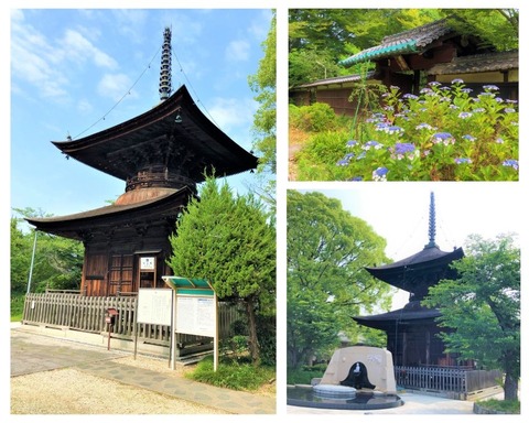 Welcome Beautiful Japan Tahoto 20190623