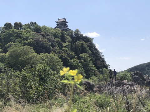 Welcome_Beautiful_Japan_Inuyama_Castle_2019050220
