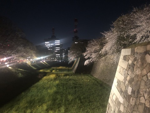 Welcome Beautiful Japan Nagoya Castle