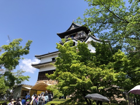 Welcome_Beautiful_Japan_Inuyama_Castle_2019050207