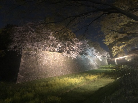 Welcome Beautiful Japan Nagoya Castle