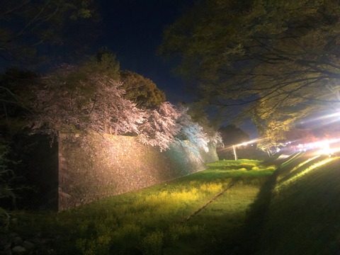 Welcome Beautiful Japan Nagoya Castle