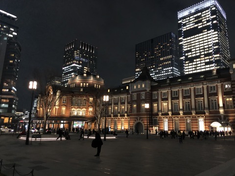 Welcome Beautiful Japan Tokyo station 20190222