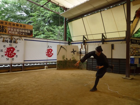 Welcome Beautiful Japan Ninja Show 2014080406