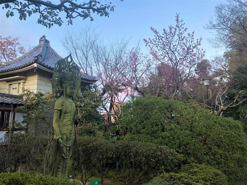 Welcome Beautiful Japan The Great Green Buddha 2019032303