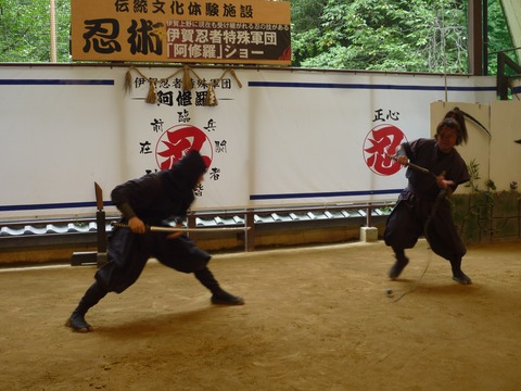 Welcome Beautiful Japan Ninja Show 2014080401