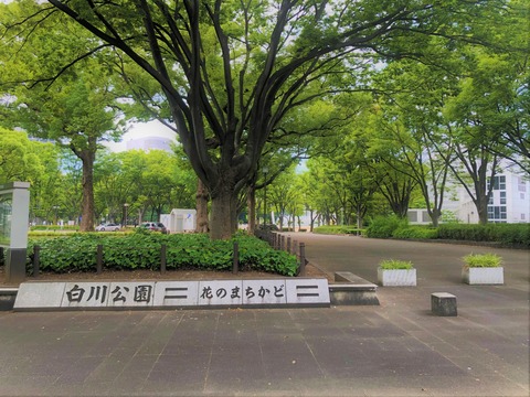 Welcome Beautiful Japan Shirakawa Park 2019062410