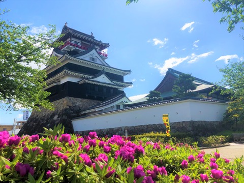 Welcome Beautiful Japan Kiyosu Castle 2019042613