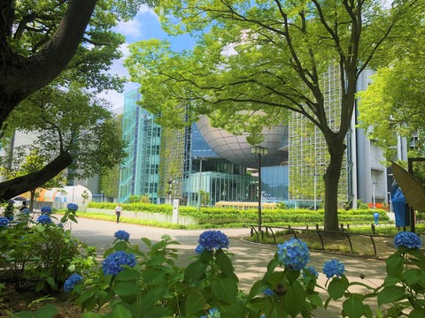Welcome Beautiful Japan Shirakawa Park 2019062405