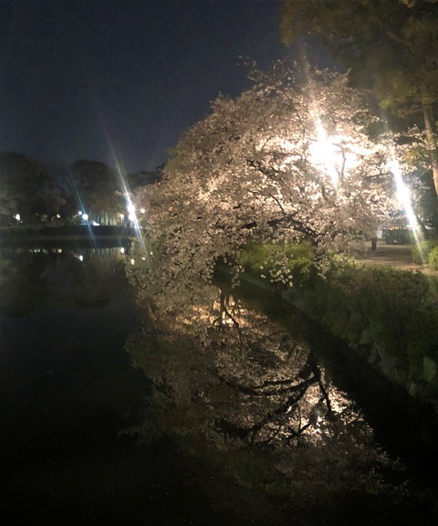 Welcome Beautiful Japan Nagoya Castle