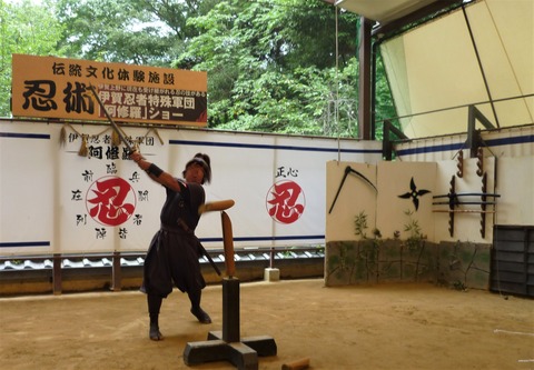 Welcome Beautiful Japan Ninja Show 2014080405