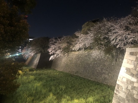 Welcome Beautiful Japan Nagoya Castle