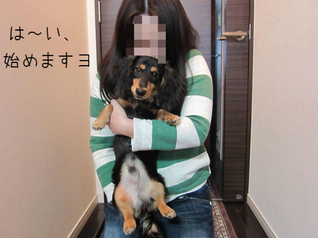 クウちゃんのしつけ教室 基本編 その２ キミは何を想ふ