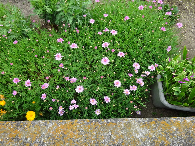 DSC00689