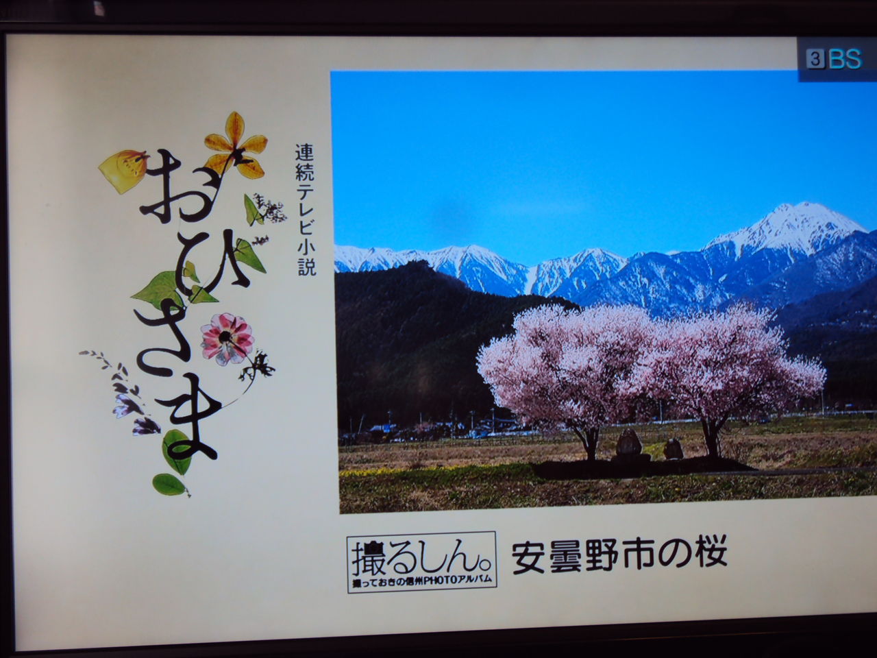 おひさま 再放送が始まる ナベさんの生活日記2