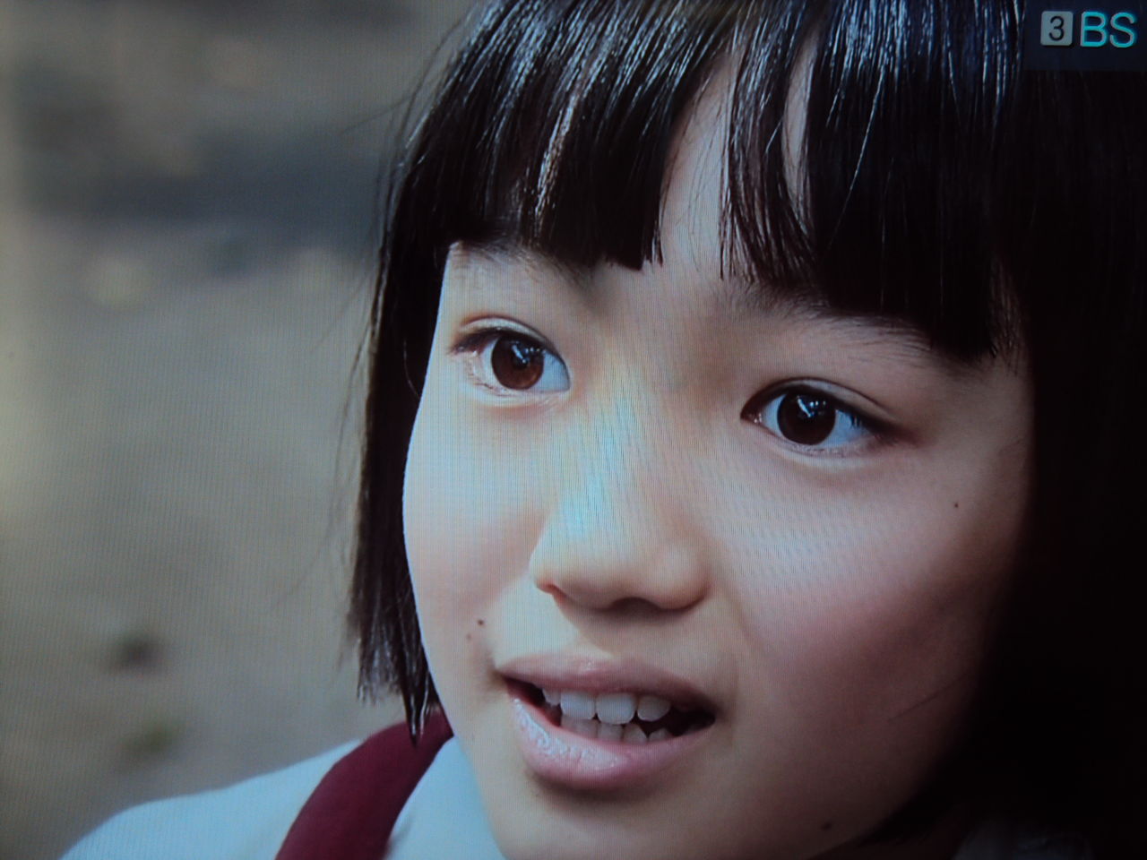 おひさま 再放送が始まる ナベさんの生活日記2