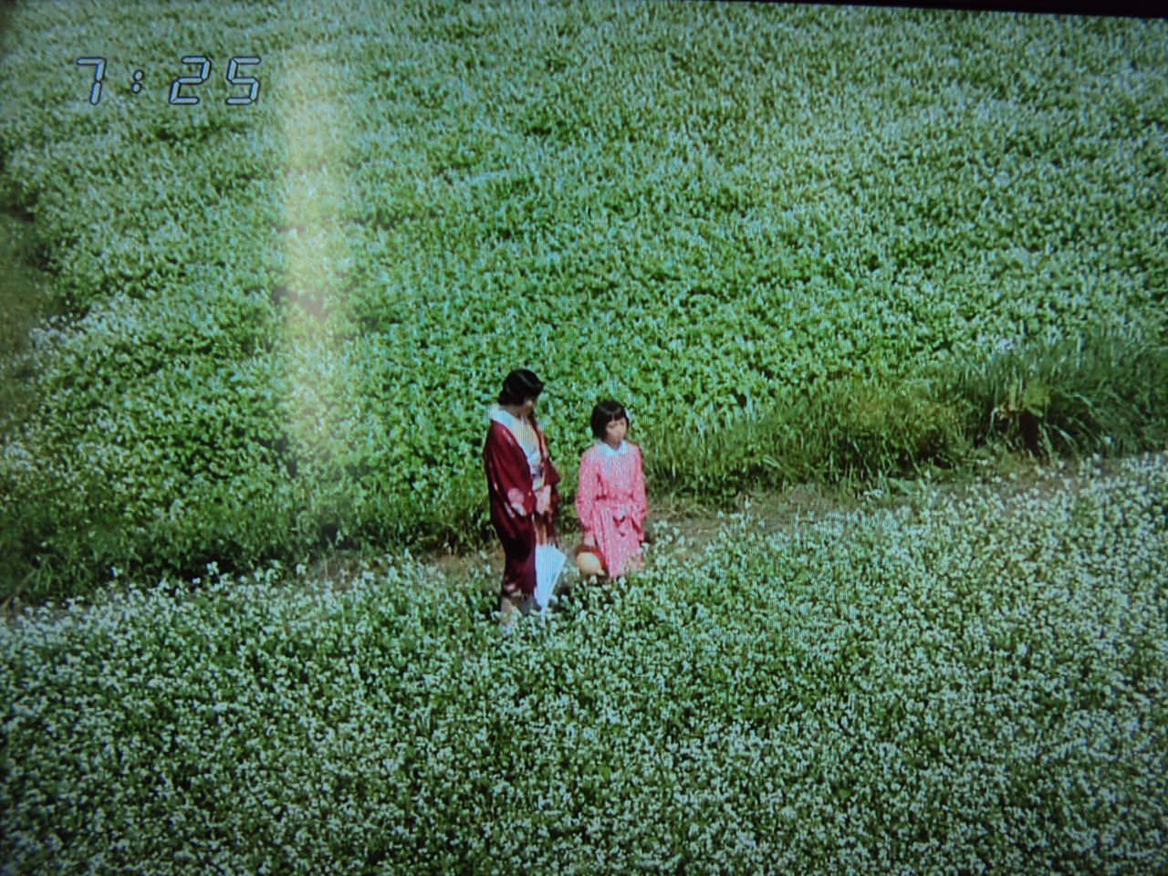 おひさま 再放送が始まる ナベさんの生活日記2