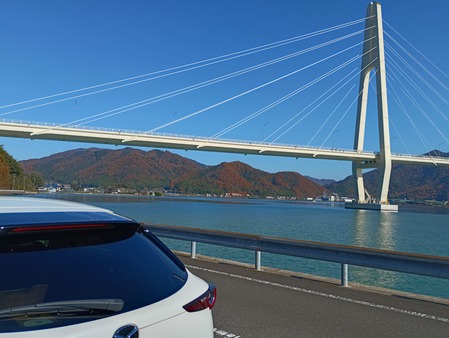 IMG_20251130_114242_1