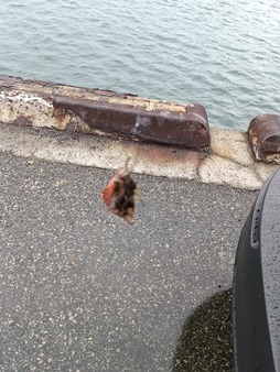 IMG_20251019_072023_1