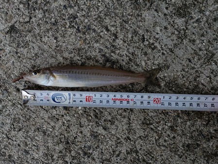 IMG_20251109_103951_1