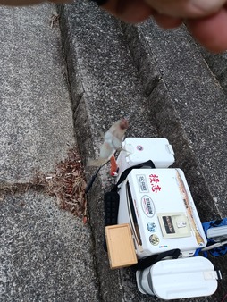 IMG_20251006_115306_1