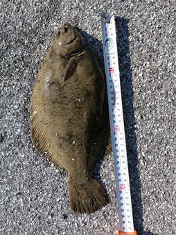 IMG_20251116_085257_1