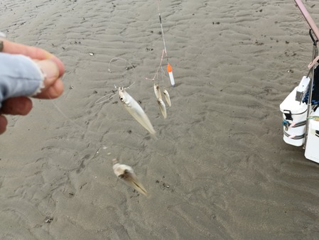 IMG_20251025_073055_1