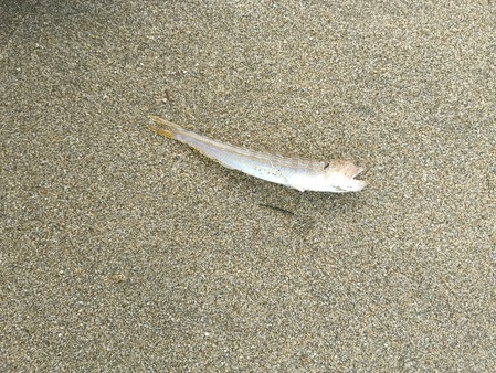 IMG_20251006_082857_1