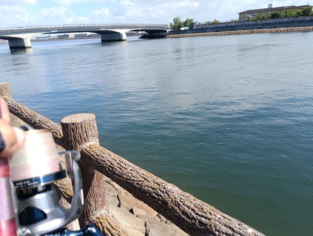 IMG_20251006_123245_1