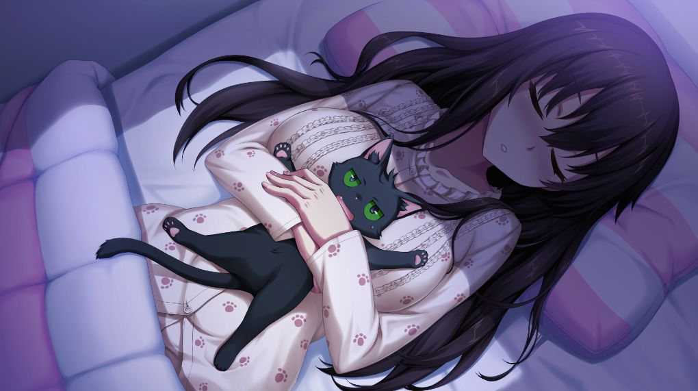 ノラと皇女と野良猫ハート1 黒木 未知ルート 感想 匿名係長ただの人 ノラと皇女と野良猫ハート1 黒木 未知ルート 感想 匿名係長ただの人