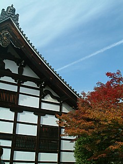 07147668.jpg