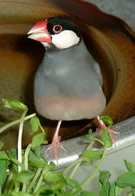 165412d7.jpg