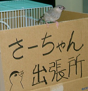 24a41a15.jpg